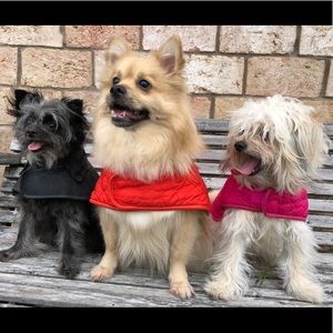 Meet your Posher, Pedro